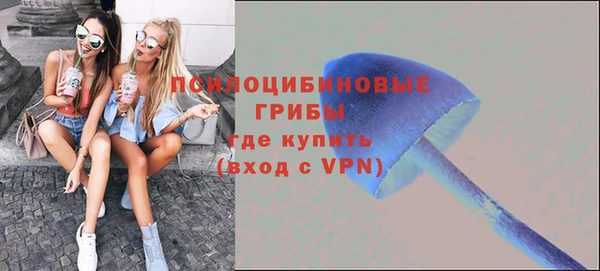твердый Каменка