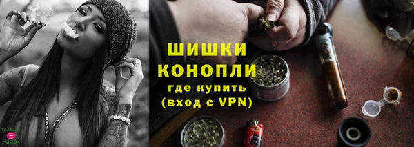 индика Каменск-Шахтинский