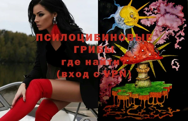 индика Каменск-Шахтинский