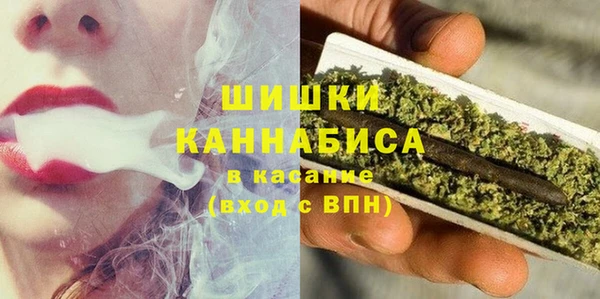 индика Каменск-Шахтинский