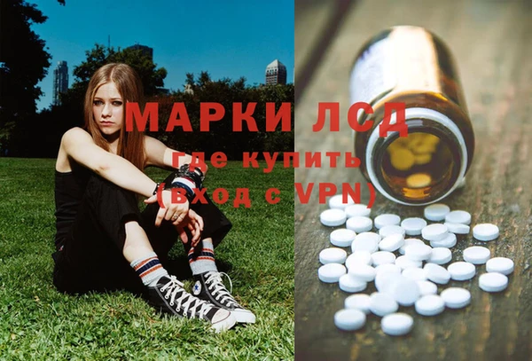 индика Каменск-Шахтинский