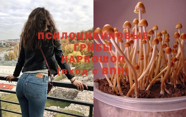 МДМА Касимов