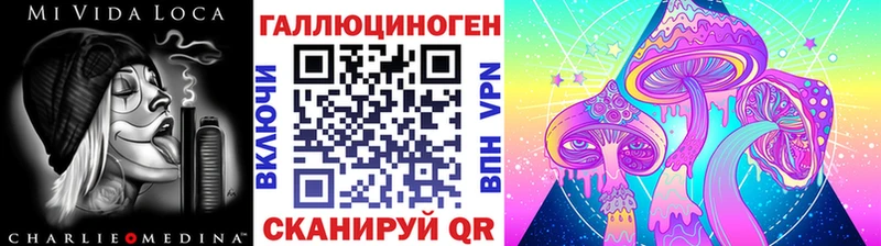 Галлюциногенные грибы Psilocybine cubensis  Купить где  Мурино 